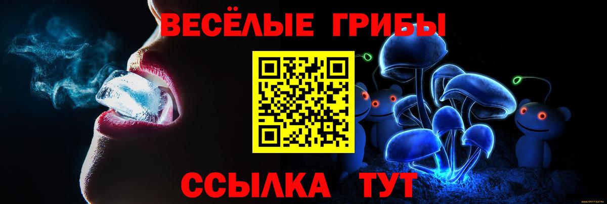 Галлюциногенные грибы прущие грибы Россия